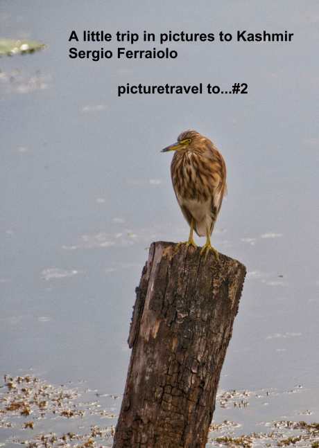 a little trip to Kashmir
