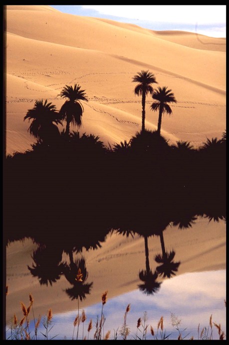 Lybia, the desert