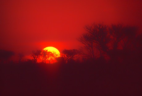 tramonto al Kruger Park