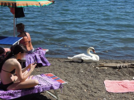 vici(g)ni di ombrellone