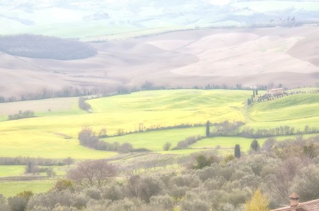 Pienza__009